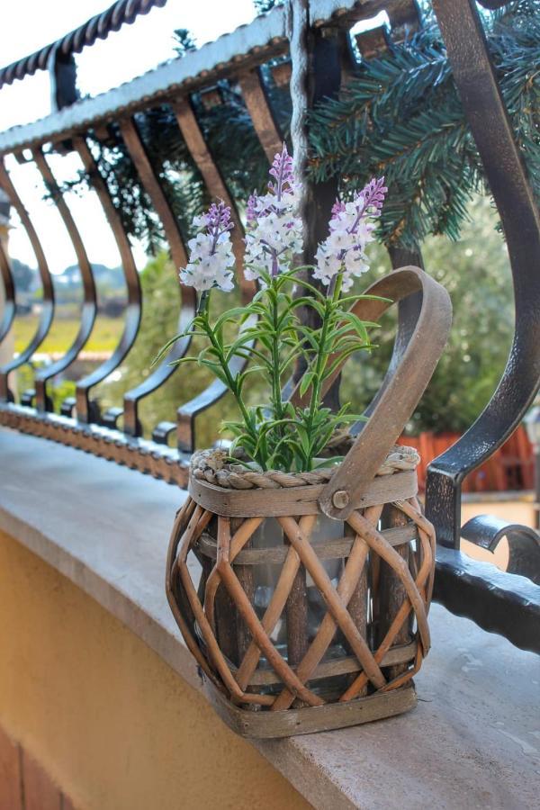 Apartament Miriale House Aeroporto Fiumicino Zewnętrze zdjęcie